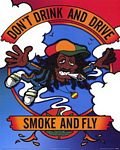 pic for Dont Drink and Drive Smoke and Fly